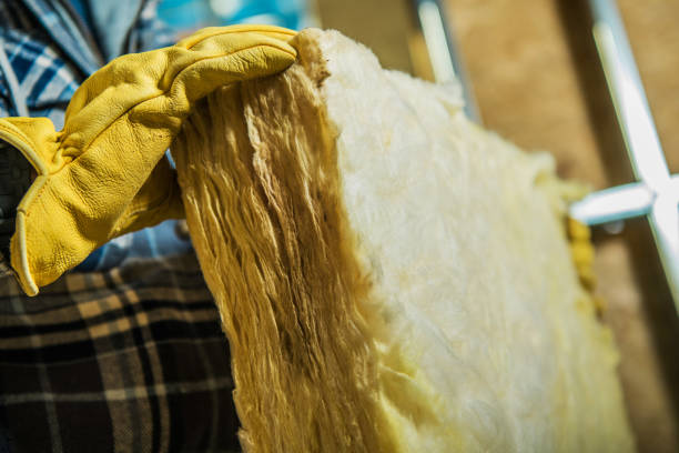 Best Soundproof Insulation Installation  in South Carthage, TN